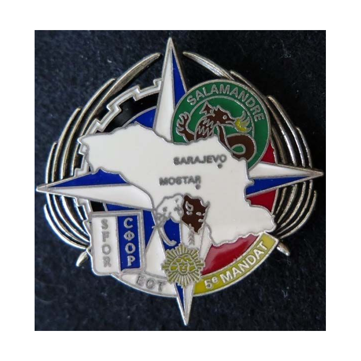 Insigne de l'Escadron Circulation et Transport du RCS SFOR DELSART