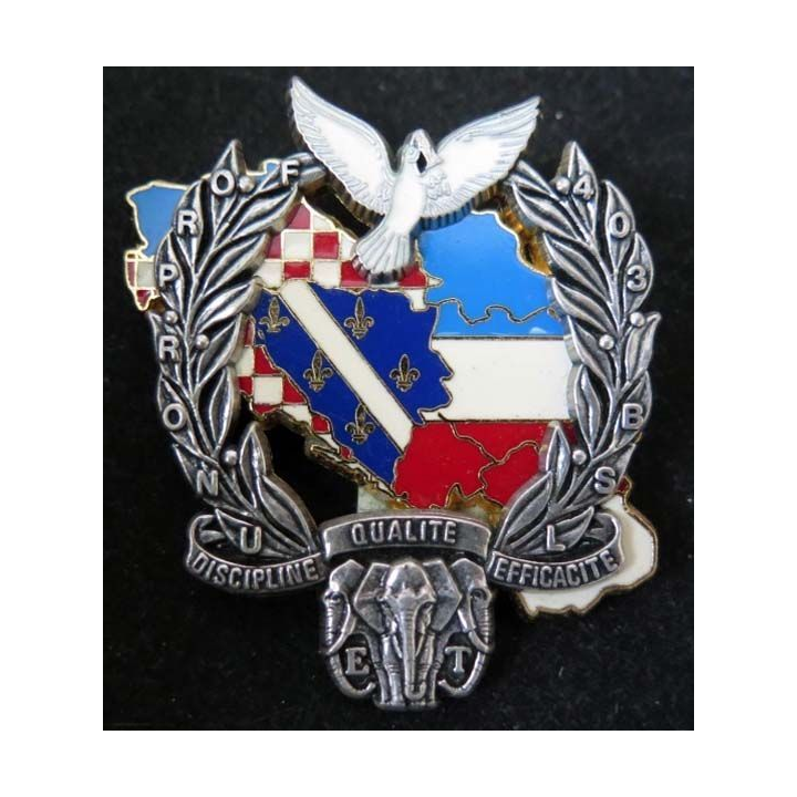 Insigne de l'ET du 403° Bat de Soutien Logistique FORPRONU DELSART