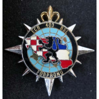 Insigne de l'ET du 403° Bat de Soutien Logistique FORPRONU DELSART