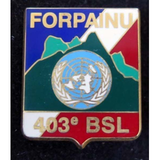 Insigne du 403° bataillon de soutien logistique JMM DESTREE G. 4317