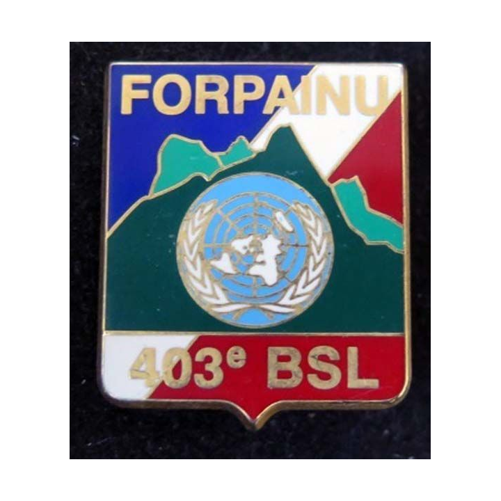 Insigne du 403° bataillon de soutien logistique JMM DESTREE G. 4317