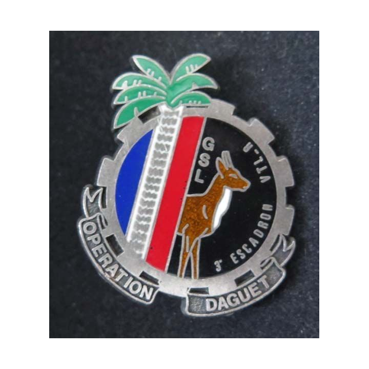 Insigne 3° Esc Transport du Groupe de Soutien Logistique DELSART