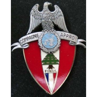 Insigne Cie Appro du 420° Détachement de Soutien Logistique DELSART