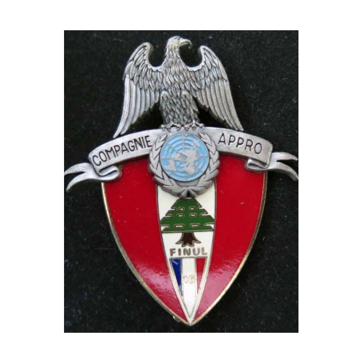 Insigne Cie Appro du 420° Détachement de Soutien Logistique DELSART