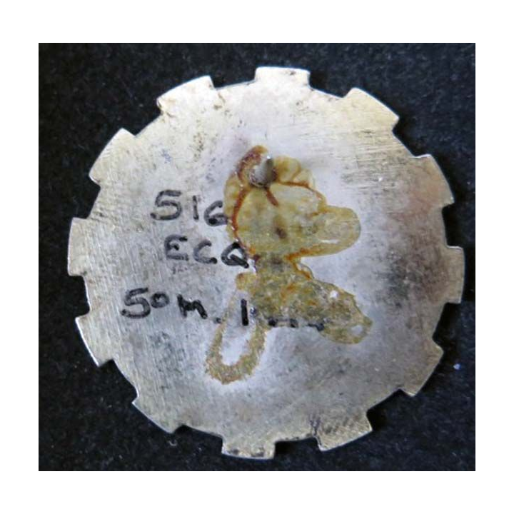 Insigne du 5° ECQG du 403° Bataillon de Soutien Logistique FORPRONU