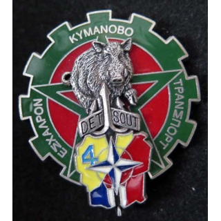 Insigne de l'Escadron de Transport du 1° BLOG de la KFOR DELSART