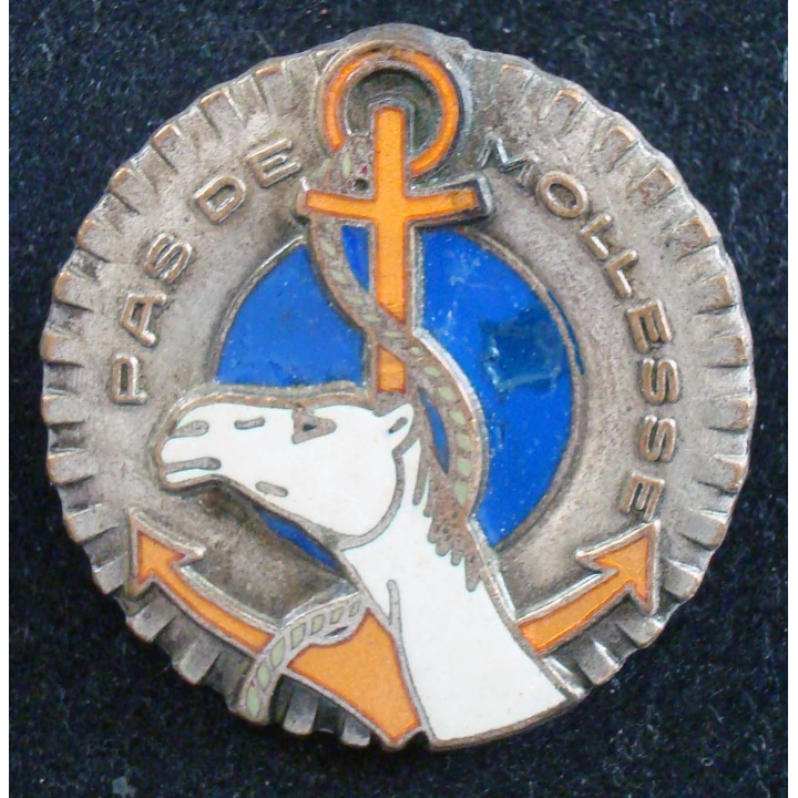 Insigne de la 1° compagnie saharienne motorisée Mauritanie AUGIS LYON