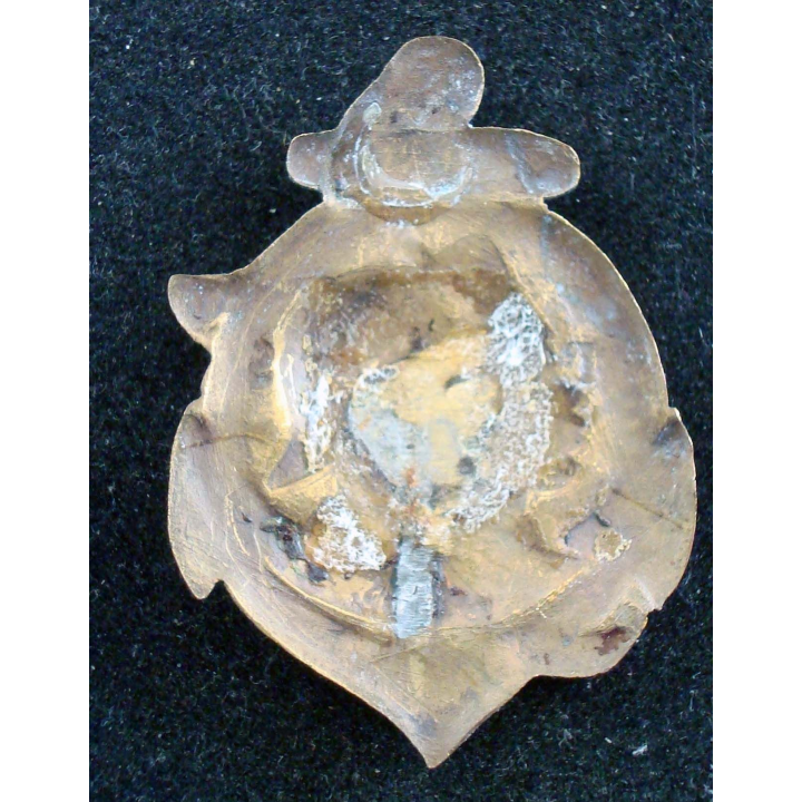 Insigne du 17° Régiment de Tirailleurs Sénégalais