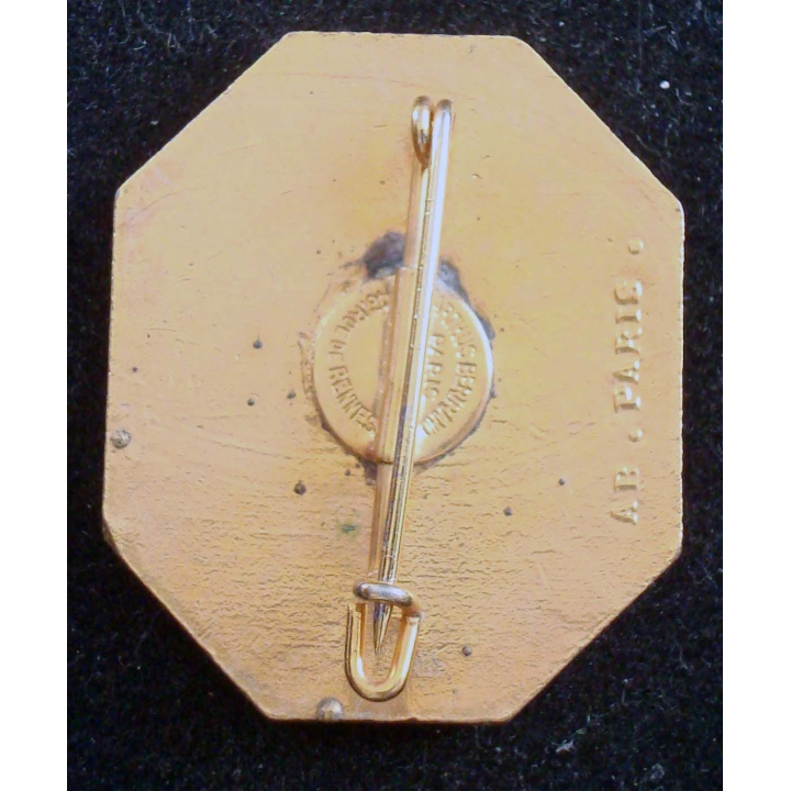 Insigne du 6° Régiment de Tirailleurs Sénégalais A.BERTRAND en émail