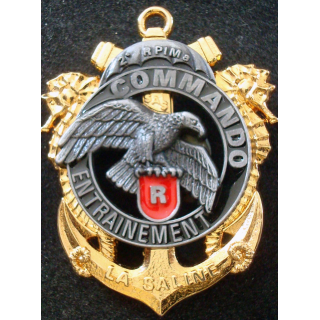 Insigne du Centre d’Entrainement Commando du 2° RPIMa DELSART