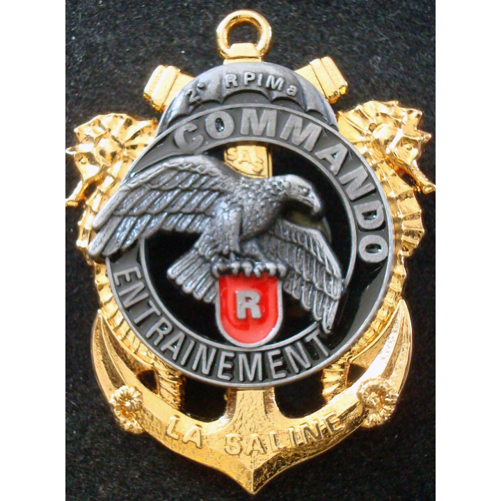 Insigne du Centre d’Entrainement Commando du 2° RPIMa DELSART
