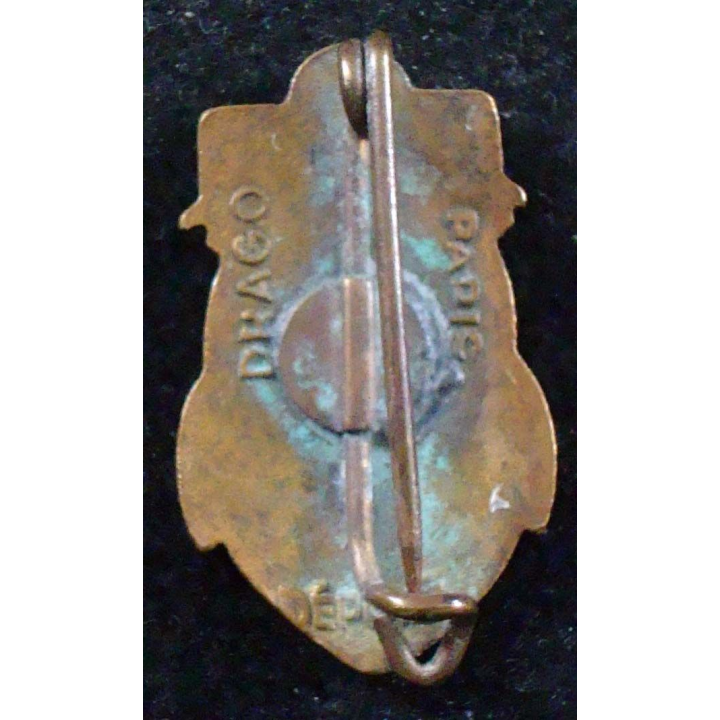 Insigne reduction 6° Bataillon de Chasseurs Laotiens Drago paris émail