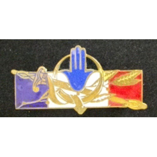 FORCES FRANÇAISES AFRIQUE DU NORD (SANS 1314) ÉMAIL