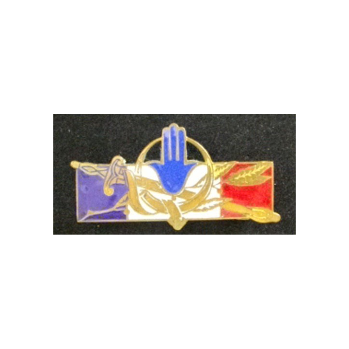 FORCES FRANÇAISES AFRIQUE DU NORD (SANS 1314) ÉMAIL