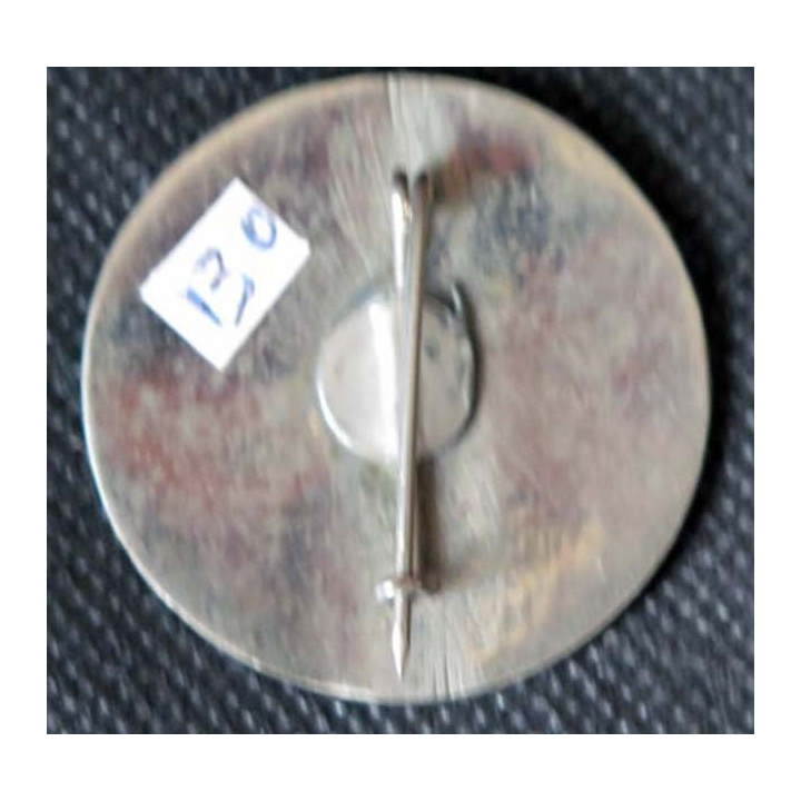 Insigne du 6° Régiment de Tirailleurs Sénégalais 6° RTS INDO Indochine