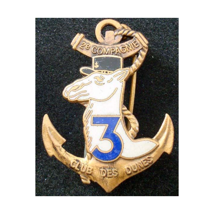 3° Régiment d'Infanterie de Marine 2° Cie RIMA dromadaire chameau