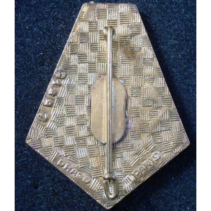 Insigne 33° Régiment d'Infanterie de Marine Drago Paris G. 1897 émail