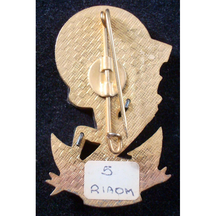 Insigne de la CCS du 5° Régiment Inter Armes d’ Outre Mer en relief