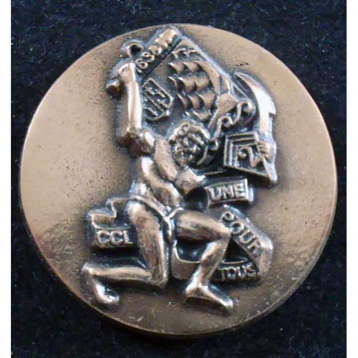 Insigne ronde de la CCL du 2° Régiment d'Infanterie de Marine bronze