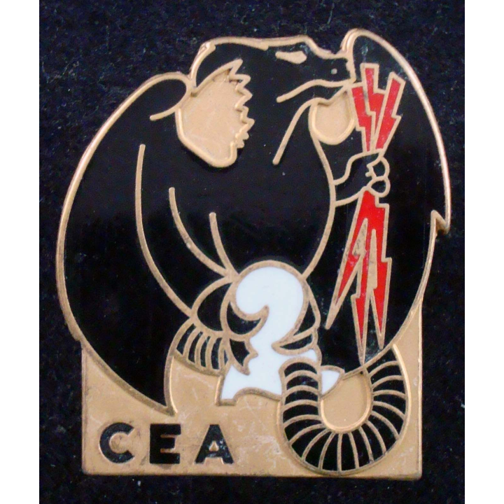 Insigne CEA du 2° Régiment d'Infanterie de Marine Arthus Bertrand