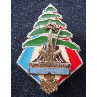 3° Cie du 3° Régiment d'Infanterie de Marine FINUL LIBAN Delsart