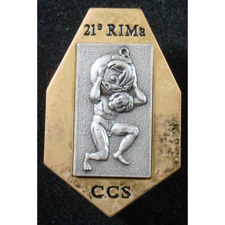 Cie de Commandement Services 21° Régiment d'Infanterie de Marine FIA