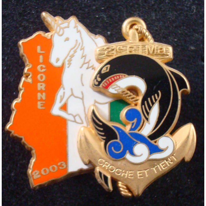 21° Régiment d'Infanterie de Marine LICORNE 4 en 2003 Boussemart