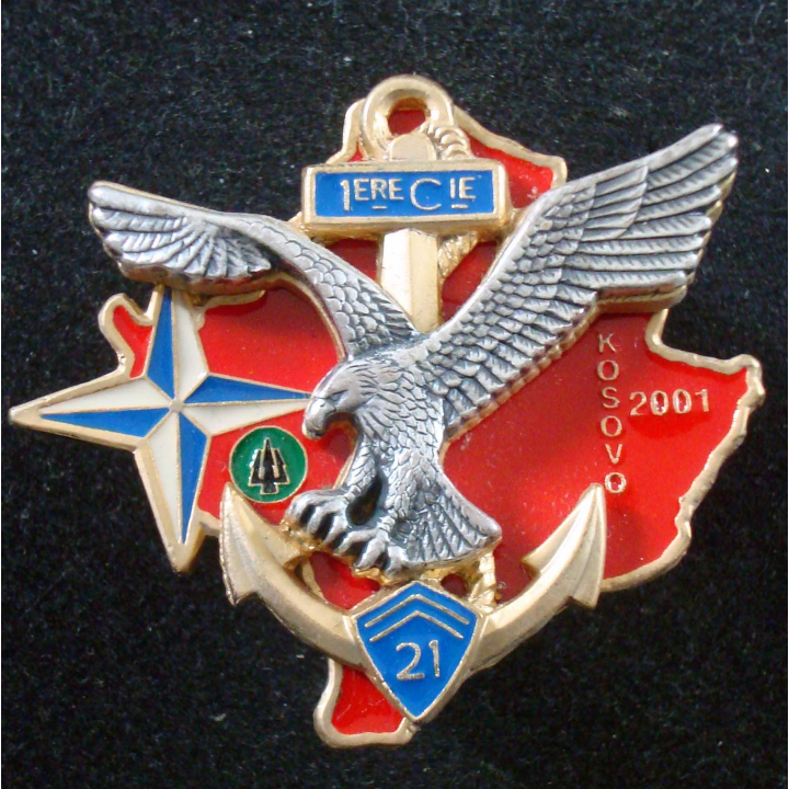 21° Régiment d'Infanterie de Marine 1° Compagnie Kosovo 2001