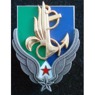 Insigne Commandement Terre des Forces Françaises de DJIBOUTI Delsart