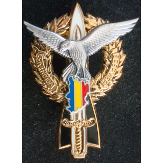 Insigne métallique Volontaire EPERVIER TCHAD 402 et 403 RAA Balme