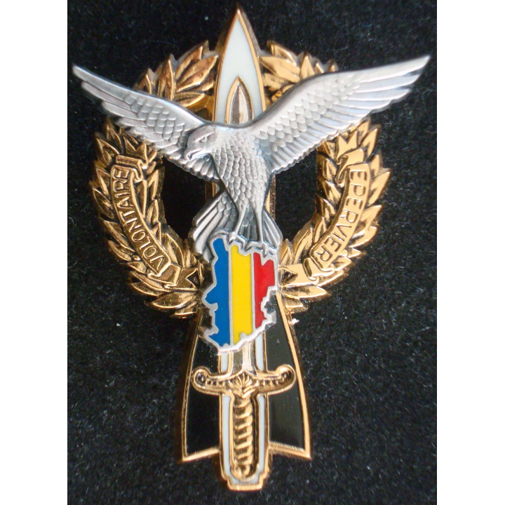 Insigne métallique Volontaire EPERVIER TCHAD 402 et 403 RAA Balme