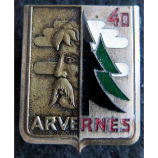 GCJF 40 : insigne métallique du groupement des chantiers de la jeunesse N° 40 Arvernes Drago Béranger émail