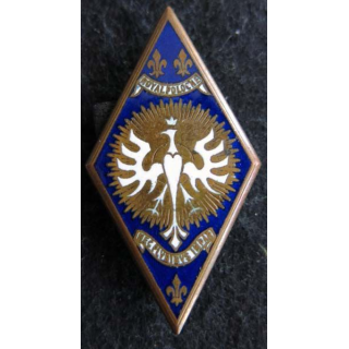 5° RC : insigne métallique du 5° régiment de cuirassiers de fabrication Drago Olivier Métra déposé en émail