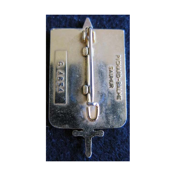 RTSE : insigne métallique de la région terre sud-est Pichard Balme G. 4654