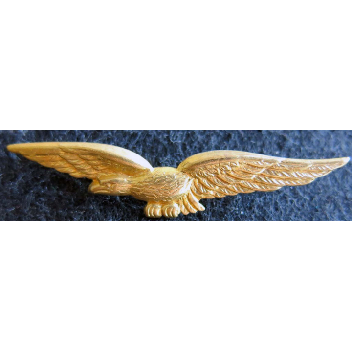 AIR : insigne de calot de l’armée de l’Air charognard en métal doré embouti avec pattes de fixation