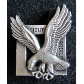 COMMANDO AIR : Insigne métallique de poitrine des commandos de l'air de fabrication Delsart A. 690