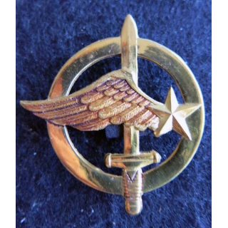 COMMANDO AIR : Insigne de béret des commandos de l'air en métal doré embouti