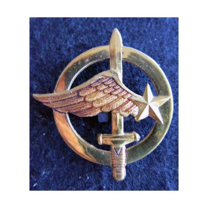 COMMANDO AIR : Insigne de béret des commandos de l'air en métal doré embouti