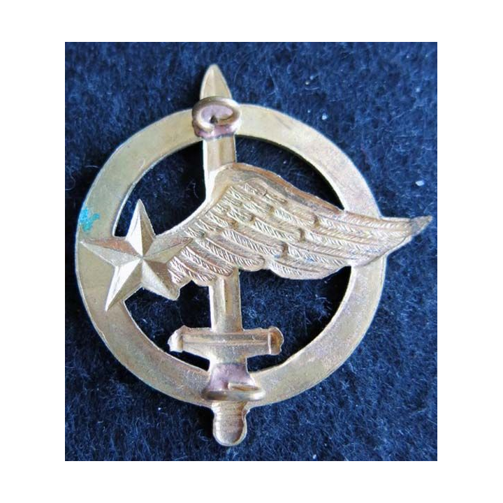 COMMANDO AIR : Insigne de béret des commandos de l'air en métal doré embouti