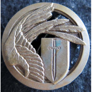EISG : Insigne métallique de l'escadron d’instruction des services généraux de CAEN Drago A. 832