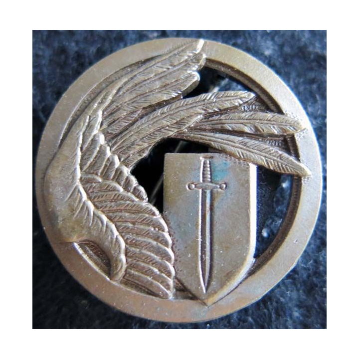 EISG : Insigne métallique de l'escadron d’instruction des services généraux de CAEN Drago A. 832
