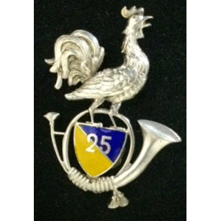25°BATAILLON DE CHASSEURS ALPINS