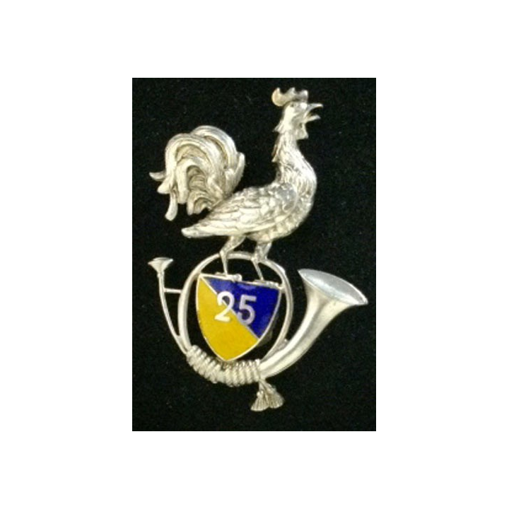 25°BATAILLON DE CHASSEURS ALPINS