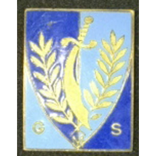 GMS : GROUPE MOBILE SÉCURITÉ ÉMAIL ATT COUPÉE (ARAVIT & PEREZ)