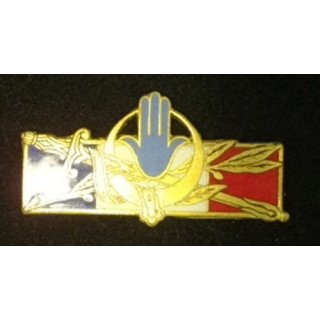 FORCES FRANÇAISES AFRIQUE DU NORD (D 1314) ÉMAIL SANS ATTACHE