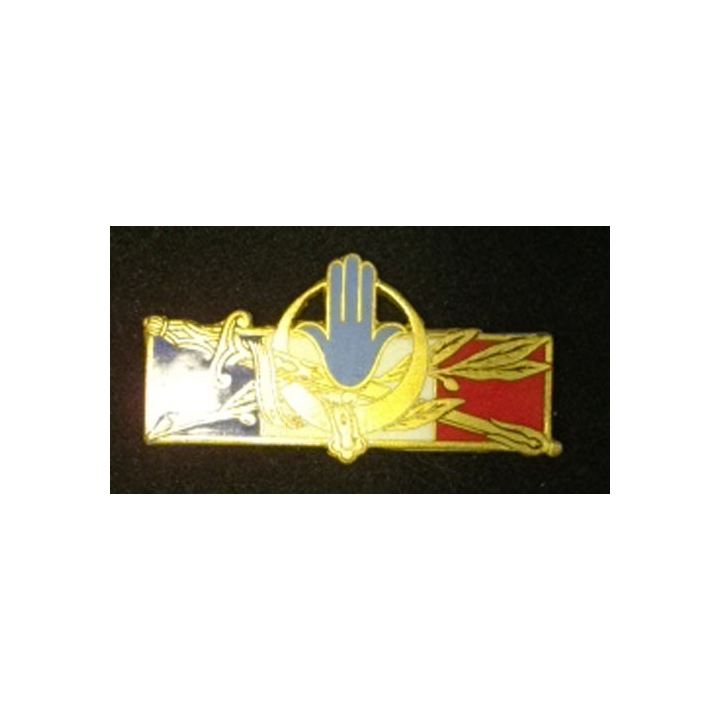 FORCES FRANÇAISES AFRIQUE DU NORD (D 1314) ÉMAIL SANS ATTACHE