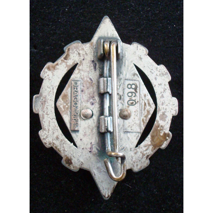 Insigne tradition 2° escadron 503° régiment train 503° RT Noisiel