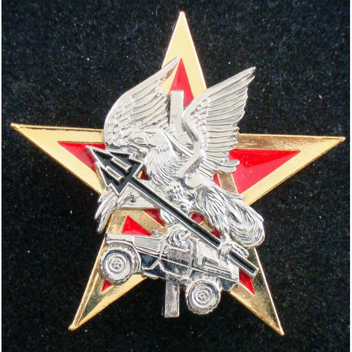 Insigne de l'ERI du 4° peloton du 4° escadron du 1° régiment de spahis