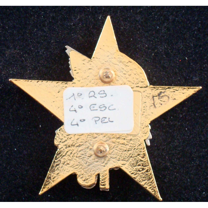 Insigne de l'ERI du 4° peloton du 4° escadron du 1° régiment de spahis