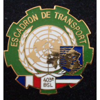 Insigne escadron de transport du 403° BSL soutien logistique 2° RCS
